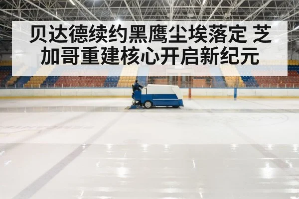 hockey rink