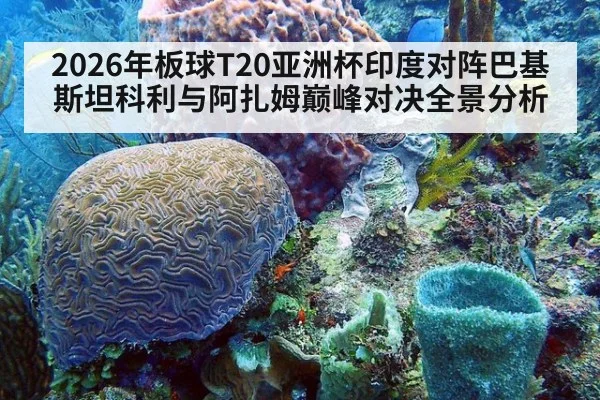 2026年板球T20亚洲杯印度对阵巴基斯坦科利与阿扎姆巅峰对决全景分析
