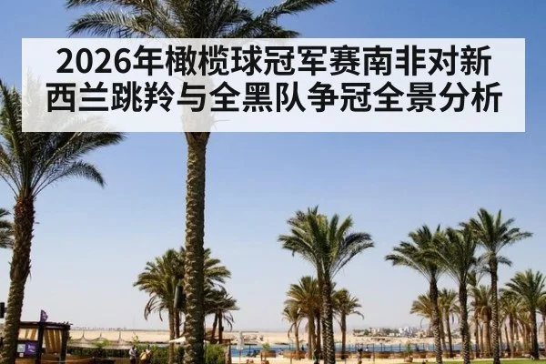 2026年橄榄球冠军赛南非对新西兰跳羚与全黑队争冠全景分析
